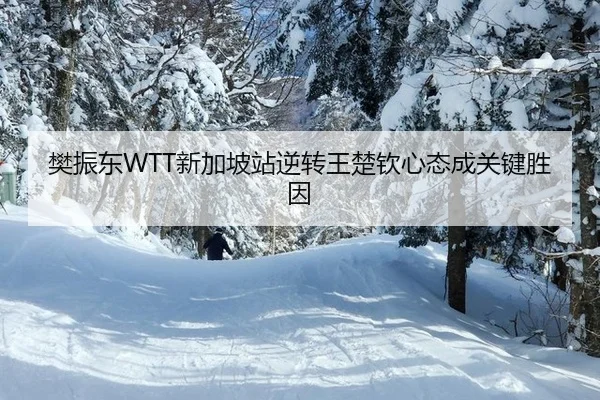 fan-zhen-dong-xin-jia-po-zhan-ni-zhuan-wang-chu-qin-xin-tai-cheng-guan-jian-sheng-yin-3-741.jpg