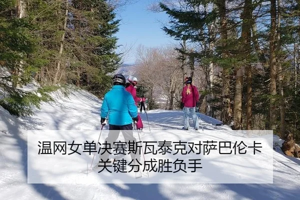 温网女单决赛斯瓦泰克对萨巴伦卡 关键分成胜负手